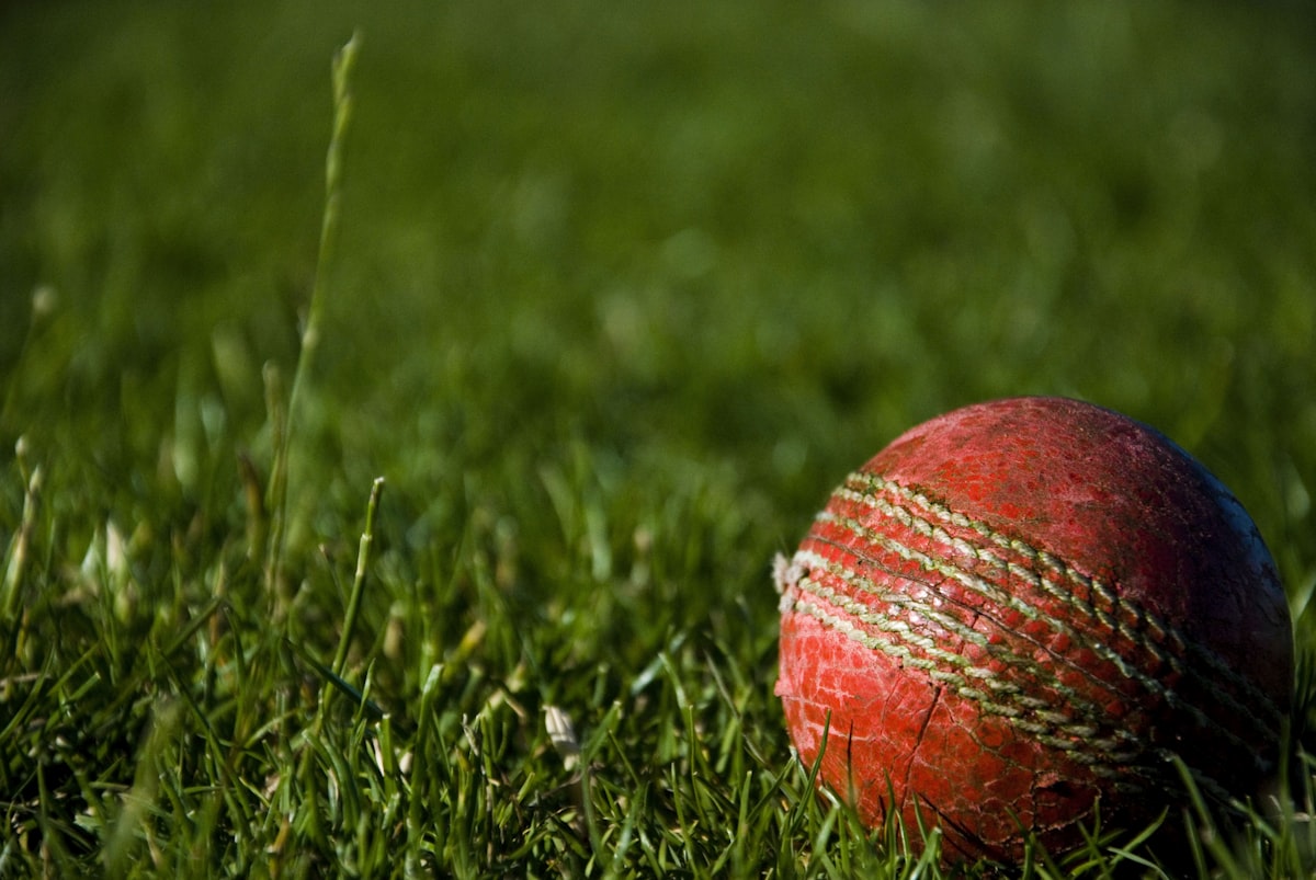 Fantasy Cricket for Beginners: Your Complete Guide to XI Fantasy Leagues